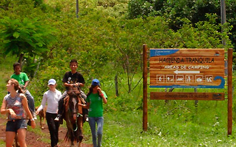 hacienda tranquila flora